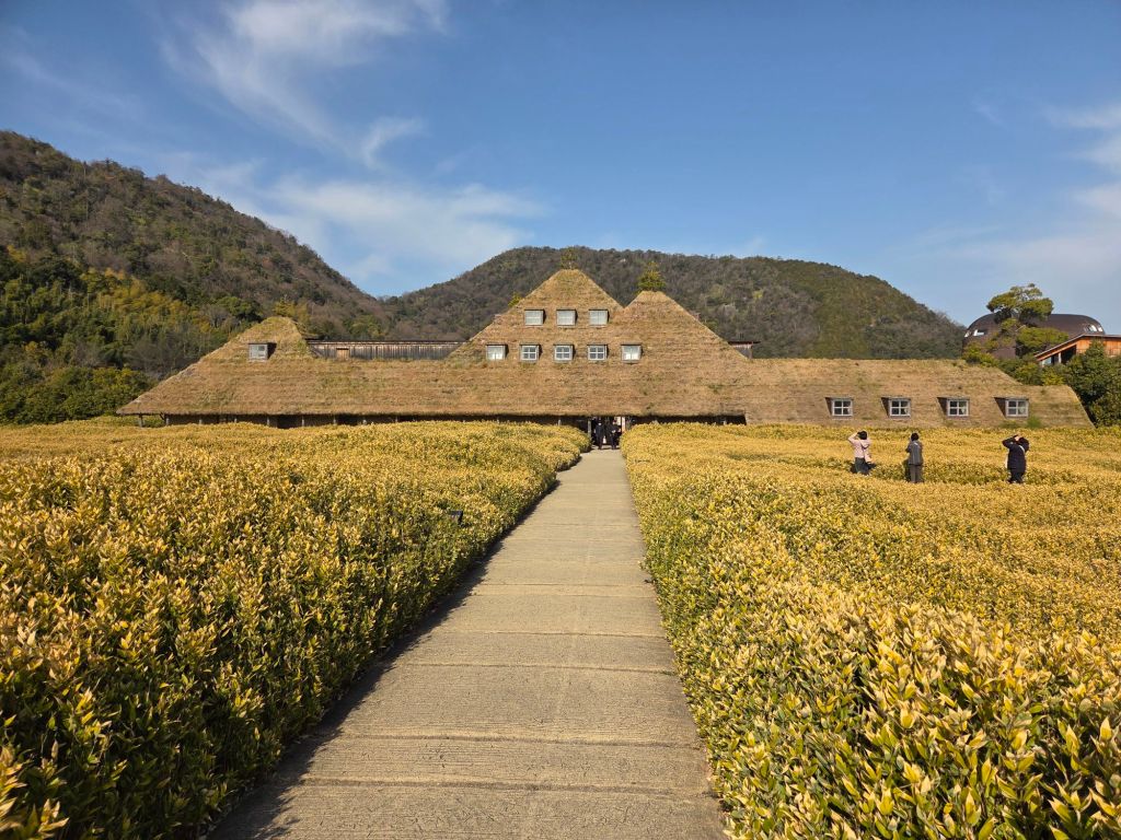 20260119_110236557636773419309203